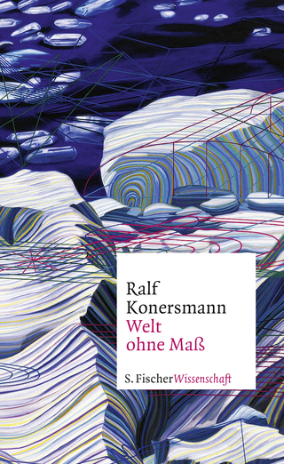 Buchcover von Welt ohne Maß