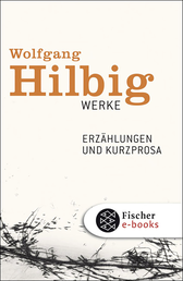 Buchcover von Werke, Band 2: Erzählungen und Kurzprosa von Wolfgang Hilbig