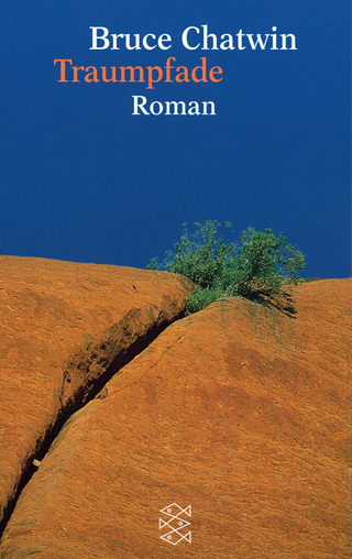 Buchcover von Traumpfade: Roman