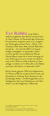Zusatzmaterial KL 978 3 10 397587 1 hinten von Sex & Rage: Roman von Eve Babitz
