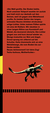 Zusatzmaterial KL 978 3 596 71368 4 vorne von The Dungeon Anarchist's Cookbook: Rasender Wahnsinn von Matt Dinniman