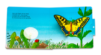 Zusatzmaterial PA 978 3 7373 5695 4 innen 014 von The Miracle of Metamorphosis von Hans-Christian Schmidt, Andreas Német