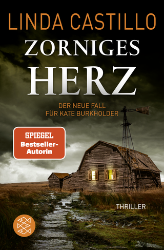 Buchcover von Zorniges Herz: Thriller