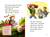 Zusatzmaterial PA 978 3 7373 3642 0 innen 001 von Dinosaur Baby in Great Danger von Sabine Stehr, Pascal Nöldner