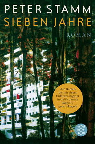 Buchcover von Sieben Jahre: Roman