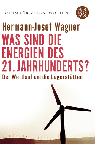 Buchcover von Was sind die Energien des 21. Jahrhunderts?: Der Wettlauf um die Lagerstätten
