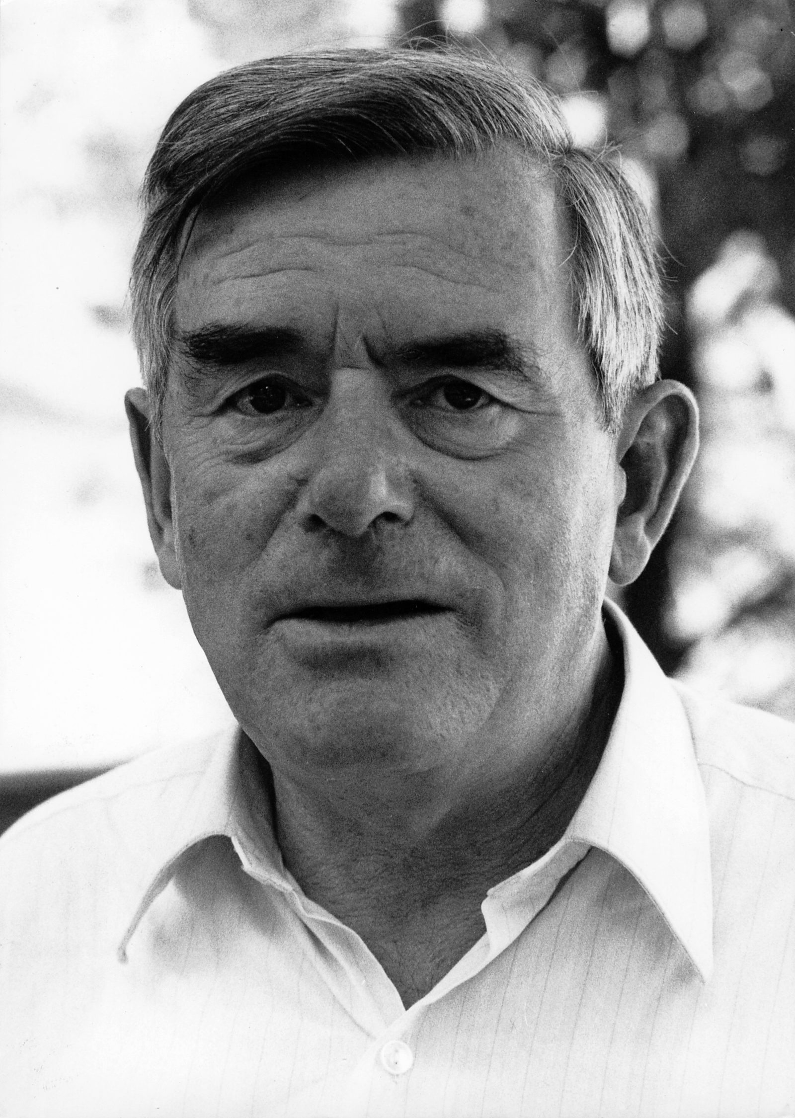 Portrait von Golo Mann