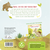 Zusatzmaterial 9783737372565 U4 von I Am the Little Bear: Ein Sachbilderbuch für neugierige Kinder ab 2 Jahren von Andrea Weller-Essers, Sandra Kissling