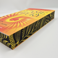 Zusatzmaterial PA 978 3 7373 7486 6 innen 005 von Of Flame and Fury von Mikayla Bridge