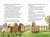 Zusatzmaterial PA 978 3 7373 4163 9 innen 007 von Liliane Susewind - A Pony Full of Nonsense (Vol. 10) von Tanya Stewner, Marlene Jablonski, Mila Marquis