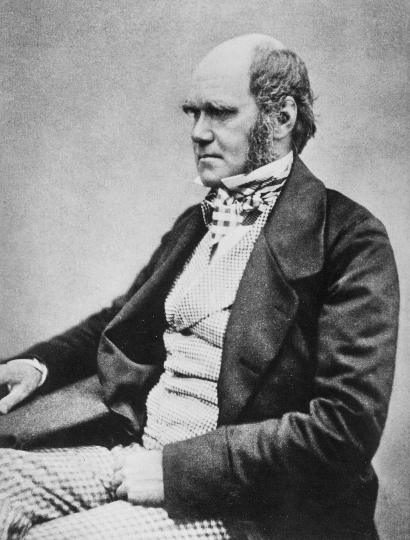 Portrait von Charles Darwin