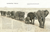 Zusatzmaterial PA 978 3 7373 5599 5 innen 002 von Wanderungen von Mike Unwin, Jenni Desmond