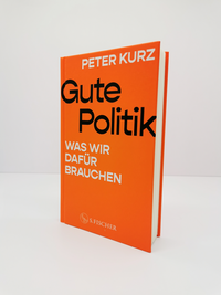Zusatzmaterial PA 978 3 10 397663 2 innen 003 von Gute Politik: Was wir dafür brauchen von Peter Kurz