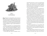 Zusatzmaterial PA 978 3 7335 0621 6 innen 003 von Land of Stories: Das magische Land – Ein Königreich in Gefahr von Chris Colfer, Brandon Dorman