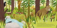Zusatzmaterial PA 978 3 7373 7256 5 innen 001 von I Am the Little Bear: Ein Sachbilderbuch für neugierige Kinder ab 2 Jahren von Andrea Weller-Essers, Sandra Kissling