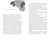 Zusatzmaterial PA 978 3 7373 4390 9 innen 003 von Season for Scandal von Laura Wood