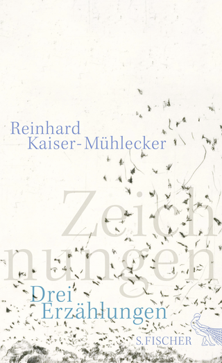 Buchcover von Zeichnungen: Drei Erzählungen