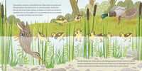 Zusatzmaterial PA 978 3 7373 7385 2 innen 002 von Do You Know Me? I am the Little Duck von Andrea Weller-Essers, Sandra Kissling