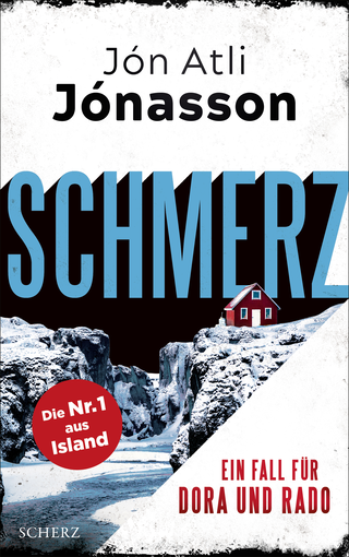 Buchcover von Schmerz : Ein Fall für Dora und Rado