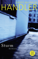 Buchcover von Sturm: Roman von Ernst-Wilhelm Händler