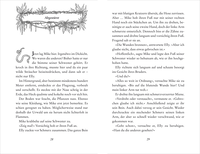 Zusatzmaterial PA 978 3 7373 4073 1 innen 002 von Survival – Verloren am Amazonas: Band 1 von Andreas Schlüter, Stefani Kampmann