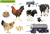 Zusatzmaterial PA 978 3 7373 3651 2 innen 001 von Do You Know? My Big Picture Dictionary About the Farm