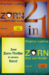 Buchcover von Lodernder Hass / Blut und Strafe – Zwei Zorn-Thriller in einem Band von Stephan Ludwig