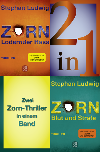 Buchcover von Lodernder Hass / Blut und Strafe – Zwei Zorn-Thriller in einem Band