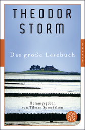 Buchcover von Das große Lesebuch von Theodor Storm