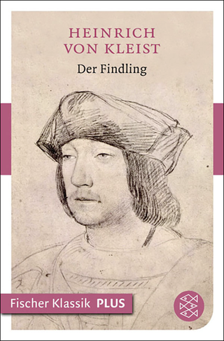 Buchcover von Der Findling