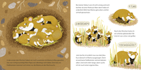 Zusatzmaterial PA 978 3 7373 7316 6 innen 003 von Do You Know Me? I am the Little Hamster: Ein Sachbilderbuch für neugierige Kinder ab 2 Jahren von Andrea Weller-Essers, Sandra Kissling