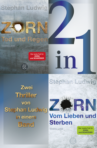 Buchcover von Tod und Regen / Vom Lieben und Sterben – Zwei Zorn-Thriller in einem Band