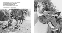 Zusatzmaterial PA 978 3 7373 6477 5 innen 002 von Mein Esel Benjamin (Mini-Ausgabe) von Hans Limmer