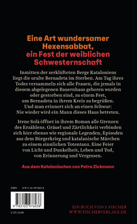 Zusatzmaterial 9783103976038 U4 von Ich gab dir Augen, und du blicktest in die Finsternis: Roman von Irene Solà