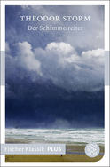 Buchcover von Der Schimmelreiter: Novelle von Theodor Storm