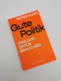 Zusatzmaterial PA 978 3 10 397663 2 innen 001 von Gute Politik: Was wir dafür brauchen von Peter Kurz
