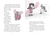 Zusatzmaterial PA 978 3 7571 0143 5 innen 001 von Hotel Flamingo: So ein Karneval! von Alex Milway