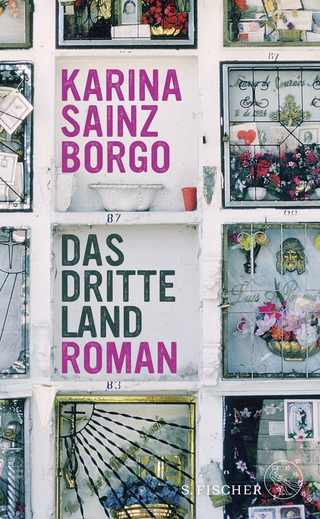 Buchcover von Das dritte Land: Roman