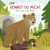Buchcover von I Am the Little Bear: Ein Sachbilderbuch für neugierige Kinder ab 2 Jahren von Andrea Weller-Essers