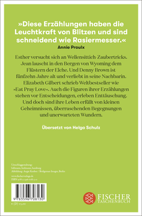 Zusatzmaterial 9783596708130 U4 von Die vielen Dinge, die Denny Brown nicht wusste: Stories von Elizabeth Gilbert