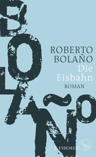 Buchcover von Die Eisbahn: Roman
