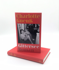 Zusatzmaterial PA 978 3 10 397088 3 innen 002 von Gittersee: Roman von Charlotte Gneuß