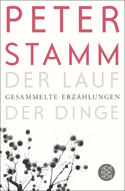 Buchcover von Der Lauf der Dinge: Gesammelte Erzählungen von Peter Stamm