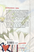 Zusatzmaterial 9783733508609 U4 von WALLFLOWER von Holly-Jane Rahlens