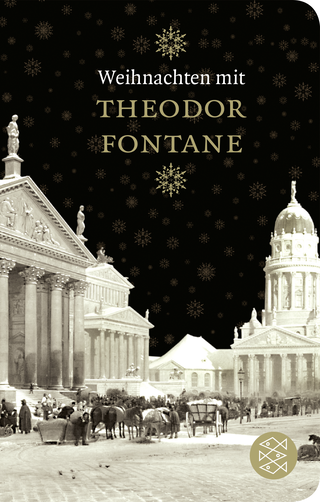 Buchcover von Weihnachten mit Theodor Fontane