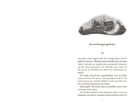 Zusatzmaterial PA 978 3 7373 7258 9 innen 001 von Birds of Paris. The Magic Pendulum von Kathrin Tordasi, Heiko Hentschel