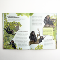 Zusatzmaterial PA 978 3 7571 0126 8 innen 031 von THE ANIMALS' TOOLBOX von Angelika Huber-Janisch, Jana Walczyk