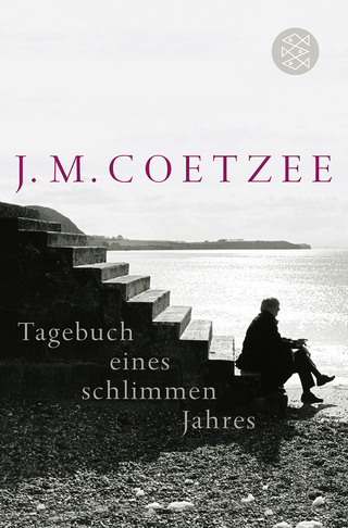 Buchcover von Tagebuch eines schlimmen Jahres: Roman