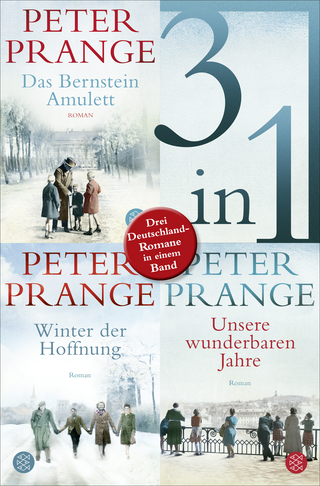 Buchcover von Das Bernstein-Amulett / Winter der Hoffnung / Unsere wunderbaren Jahre - Drei Deutschland-Romane in einem Band
