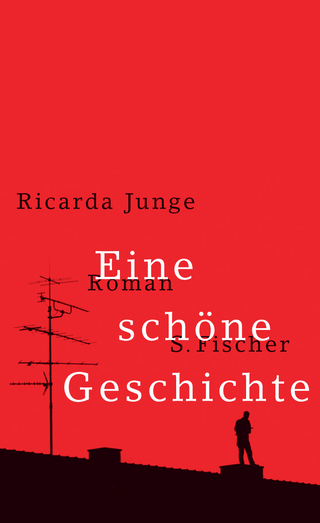 Buchcover von Eine schöne Geschichte: Roman